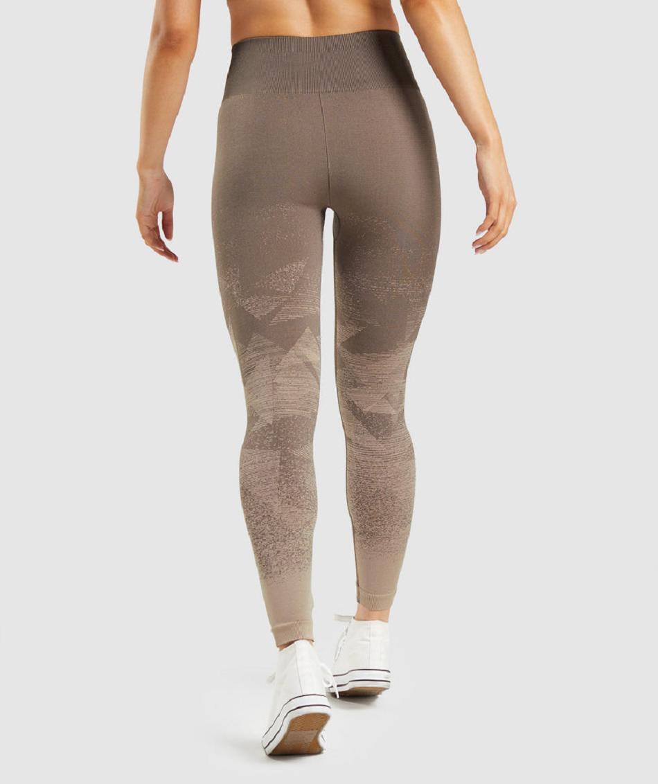 Leggins Gymshark Adapt Ombre Seamless Mujer Marrones | CO 2929GSO